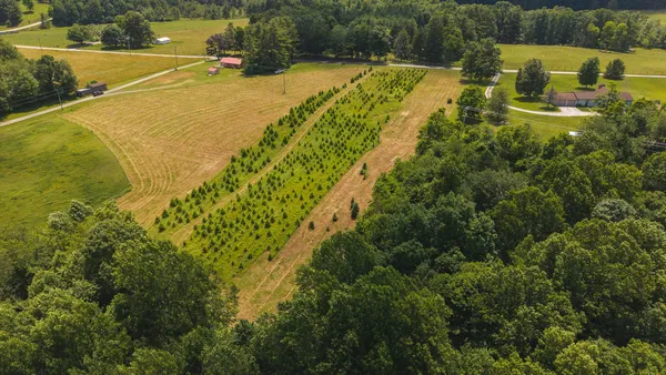 $59,500 | Tbd Alum Ridge Road Northwest, Willis, VA 24380