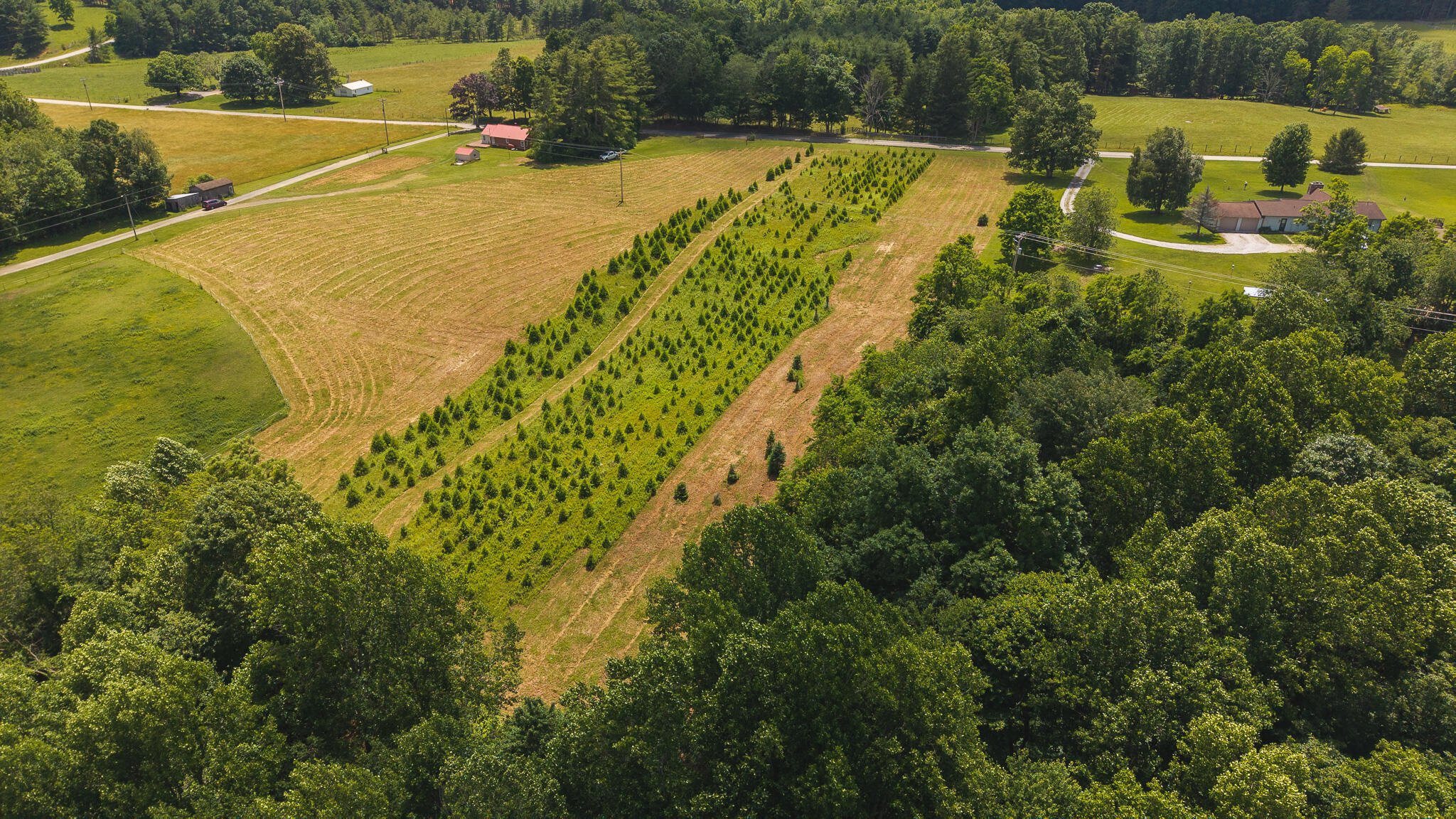 Tbd Alum Ridge Road Northwest Willis, VA 24380 - Photo 12 of 14 DJI_20250618142935_0463_D