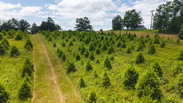 $59,500 | Tbd Alum Ridge Road Northwest, Willis, VA 24380