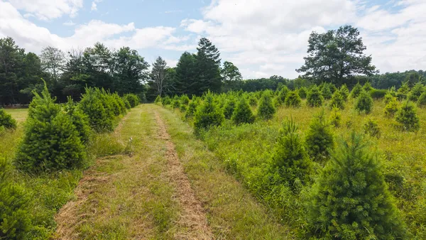 $59,500 | Tbd Alum Ridge Road Northwest, Willis, VA 24380