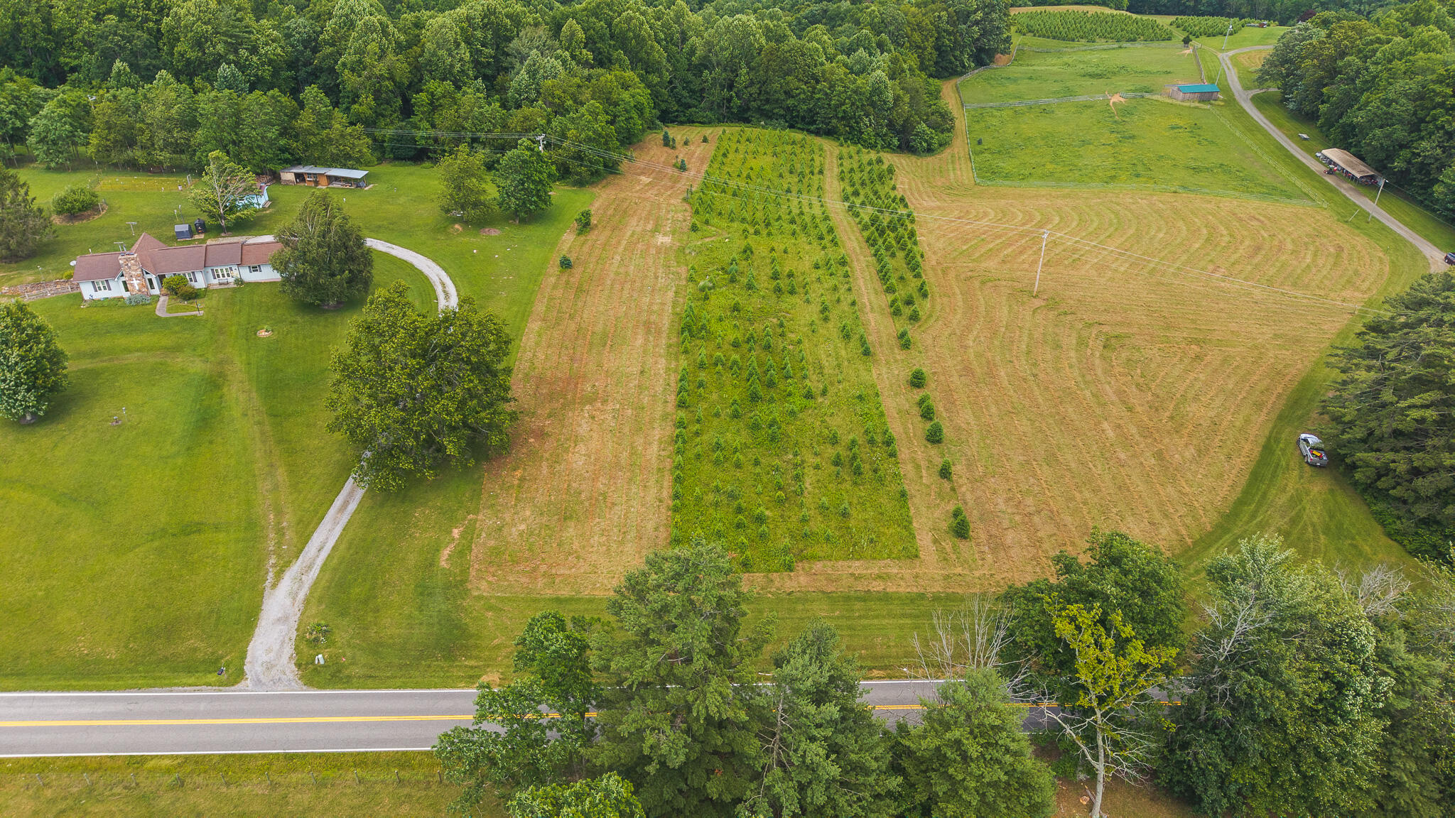 Tbd Alum Ridge Road Northwest Willis, VA 24380 - Photo 4 of 14 DJI_20250618142602_0448_D
