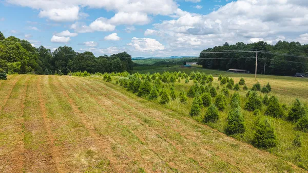 $59,500 | Tbd Alum Ridge Road Northwest, Willis, VA 24380