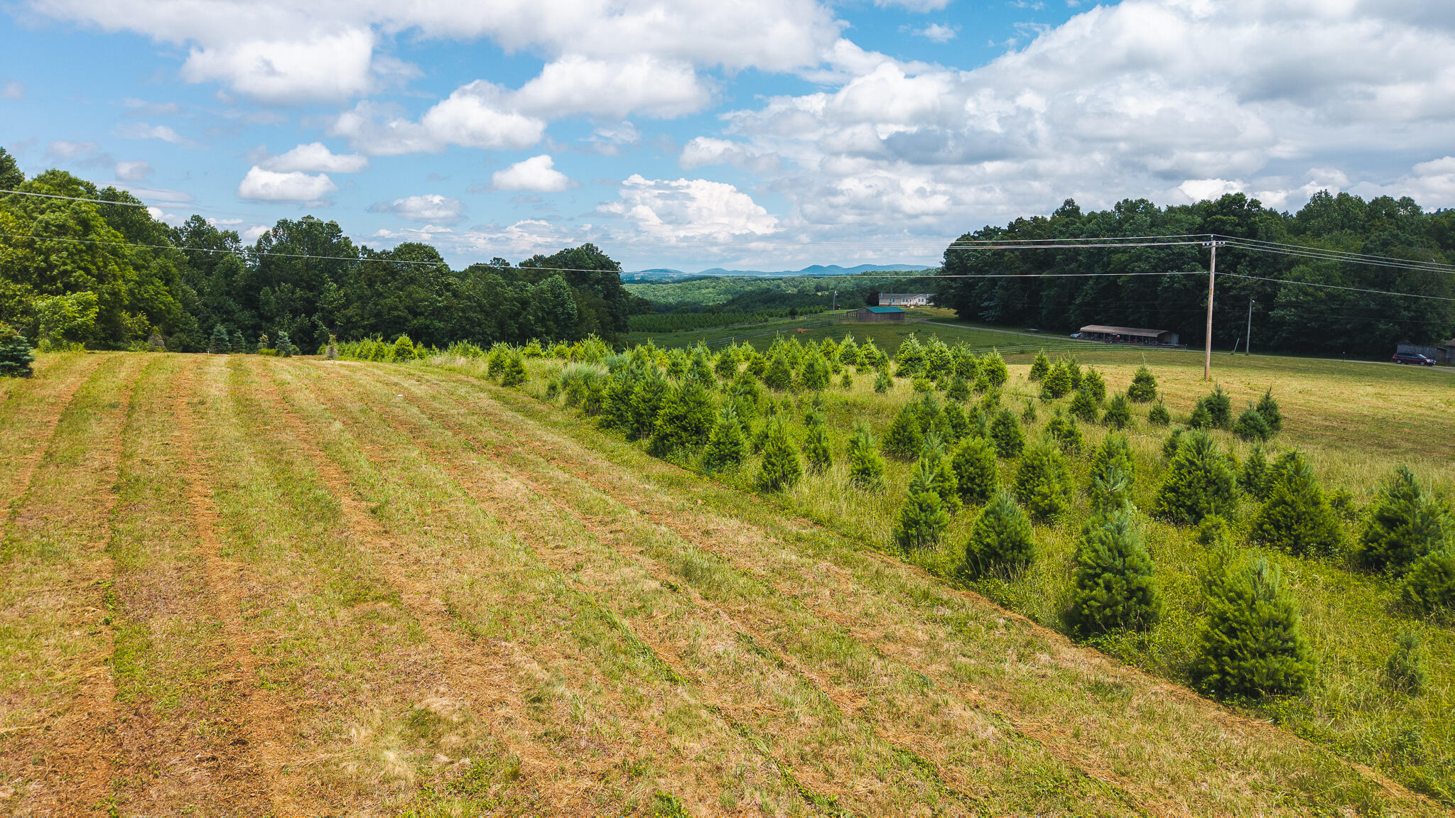 Tbd Alum Ridge Road Northwest Willis, VA 24380 - Photo 5 of 14 DJI_20250618142712_0451_D