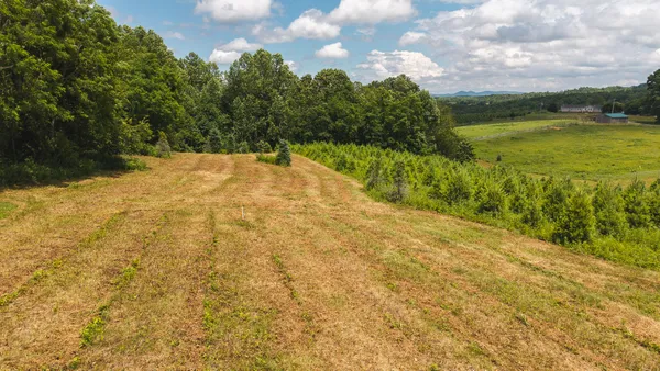 $59,500 | Tbd Alum Ridge Road Northwest, Willis, VA 24380