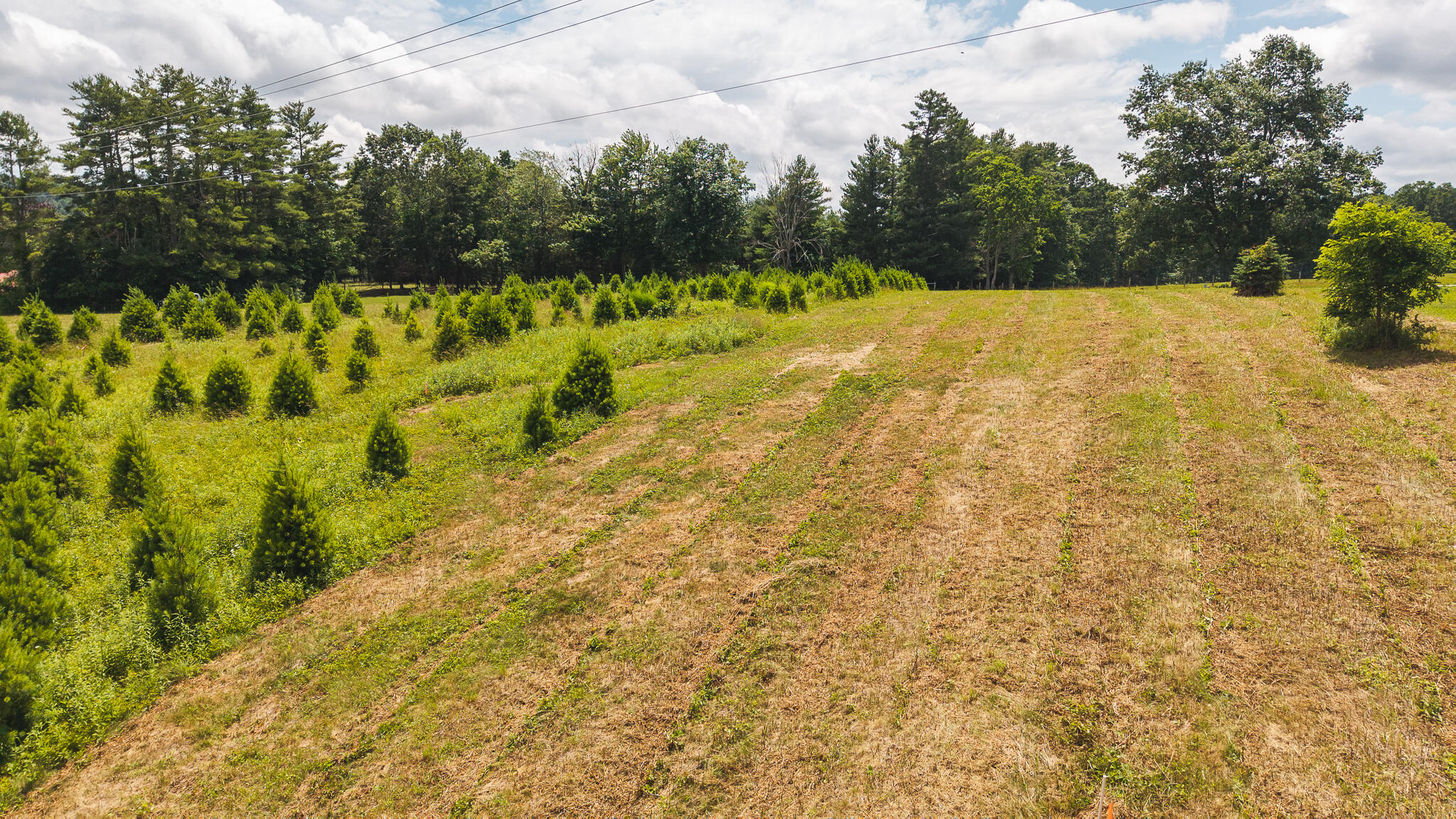 Tbd Alum Ridge Road Northwest Willis, VA 24380 - Photo 7 of 14 DJI_20250618142756_0455_D