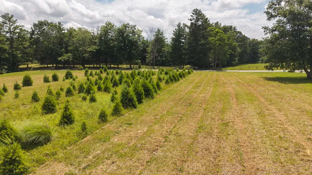 $64,900 | Tbd Alum Ridge Road Northwest, Willis, VA 24380