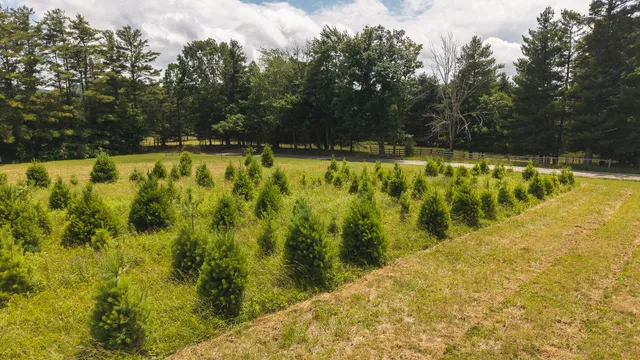 $64,900 | Tbd Alum Ridge Road Northwest, Willis, VA 24380