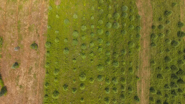 $64,900 | Tbd Alum Ridge Road Northwest, Willis, VA 24380