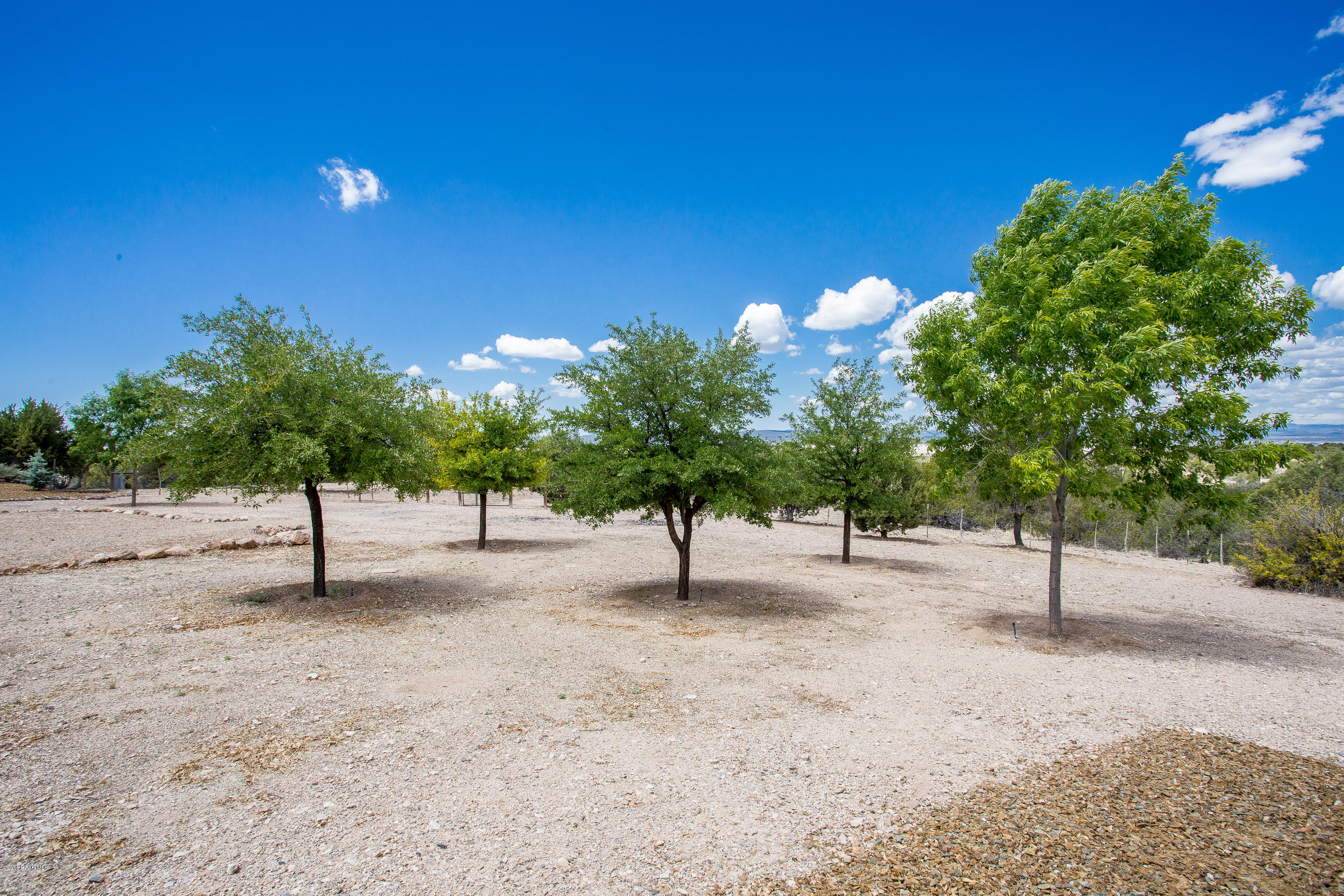 18401 Crossroads Ranch Road Prescott, AZ 86305 - Photo 42 of 51 a view of empty area with large trees