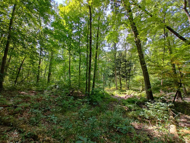 $850,000 | Vl 80th Avenue, Zeeland, MI 49464