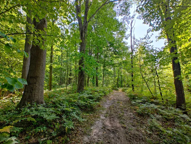 $850,000 | Vl 80th Avenue, Zeeland, MI 49464