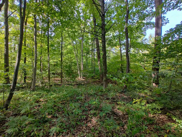 $850,000 | Vl 80th Avenue, Zeeland, MI 49464