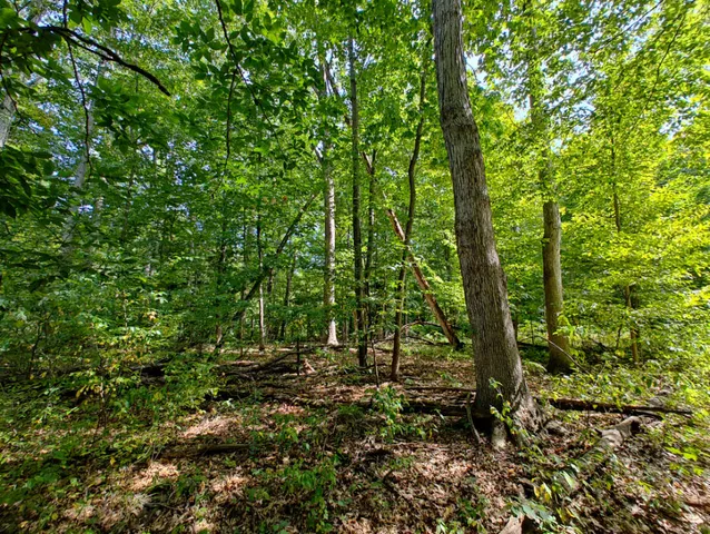 $850,000 | Vl 80th Avenue, Zeeland, MI 49464