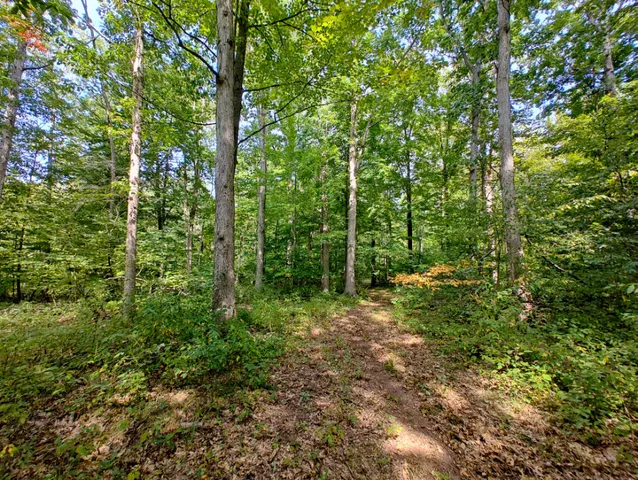 $850,000 | Vl 80th Avenue, Zeeland, MI 49464