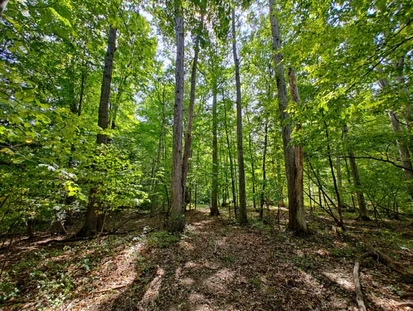 $850,000 | Vl 80th Avenue, Zeeland, MI 49464
