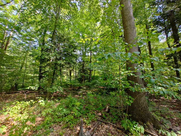 $850,000 | Vl 80th Avenue, Zeeland, MI 49464