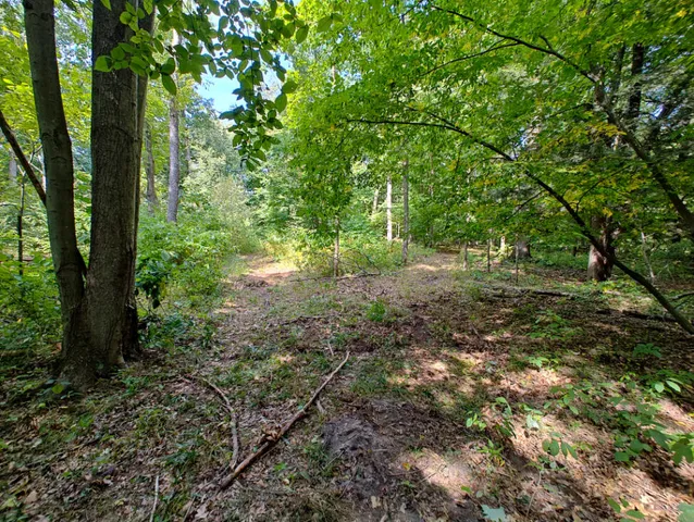 $850,000 | Vl 80th Avenue, Zeeland, MI 49464