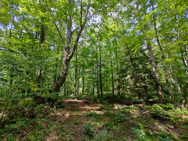 $850,000 | Vl 80th Avenue, Zeeland, MI 49464