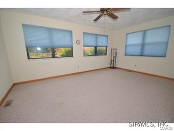 145 Rio Verde Drive Belleville, IL 62221 - Photo 15 of 24 Gallery Image 15