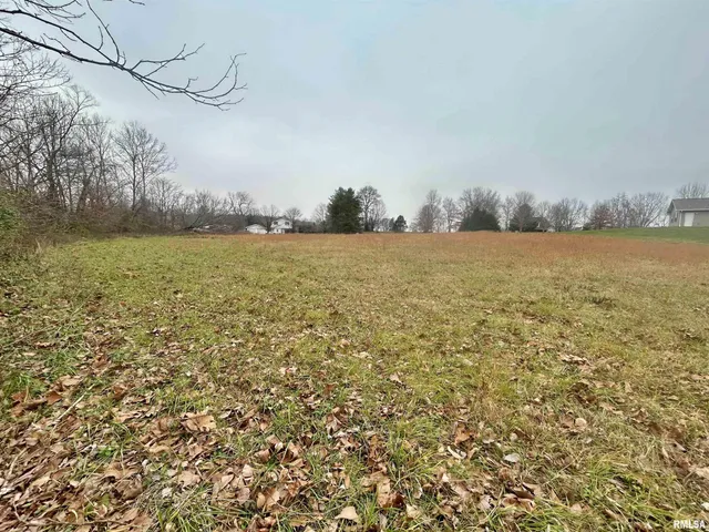 $14,000 | Sub #2-lot 19 Sub Lane, Vienna, IL 62995