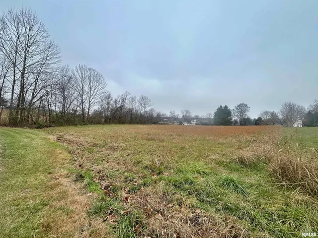 $14,000 | Sub #2-lot 19 Sub Lane, Vienna, IL 62995