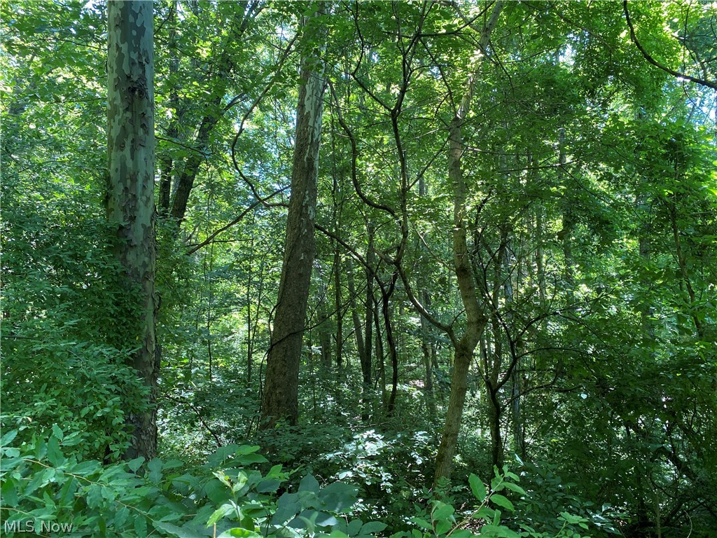 Ashton Hill Road Caldwell, OH 43724 - Photo 17 of 26