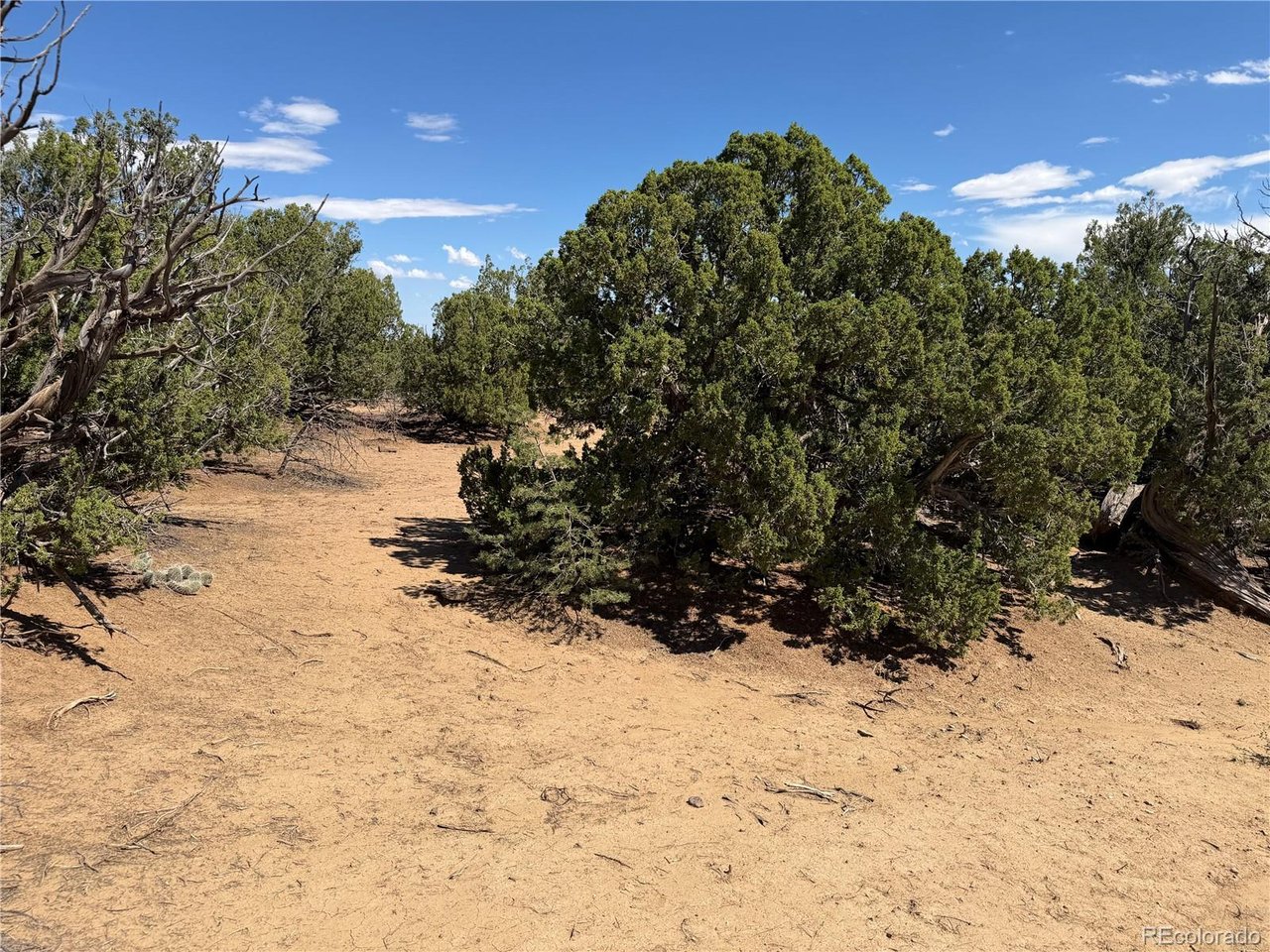 81 Twin Lakes Road Walsenburg, CO 81089 - Photo 2 of 26 Gallery Image 2