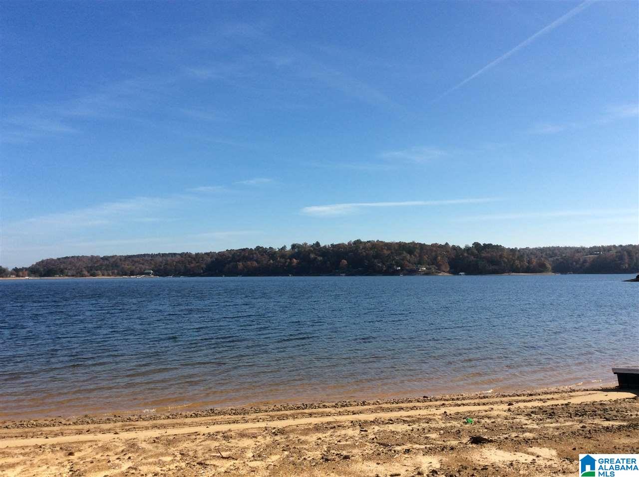 Co Rd 875-lot#5 Southeast Co Road, Unit LOT#5 Crane Hill, AL 35053 - Photo 4 of 5