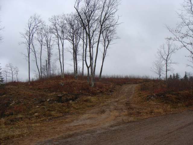35-ac Goodnow Road Harshaw, WI 54529 - Photo 3 of 6 Gallery Image 3
