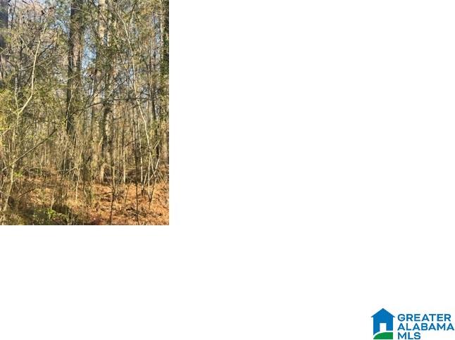 Aepean Way, Unit 13 Alpine, AL 35014 - Photo 1 of 1