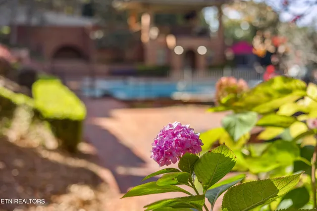 $1,950,000 | 1442 Darbee Drive, Morristown, TN 37814