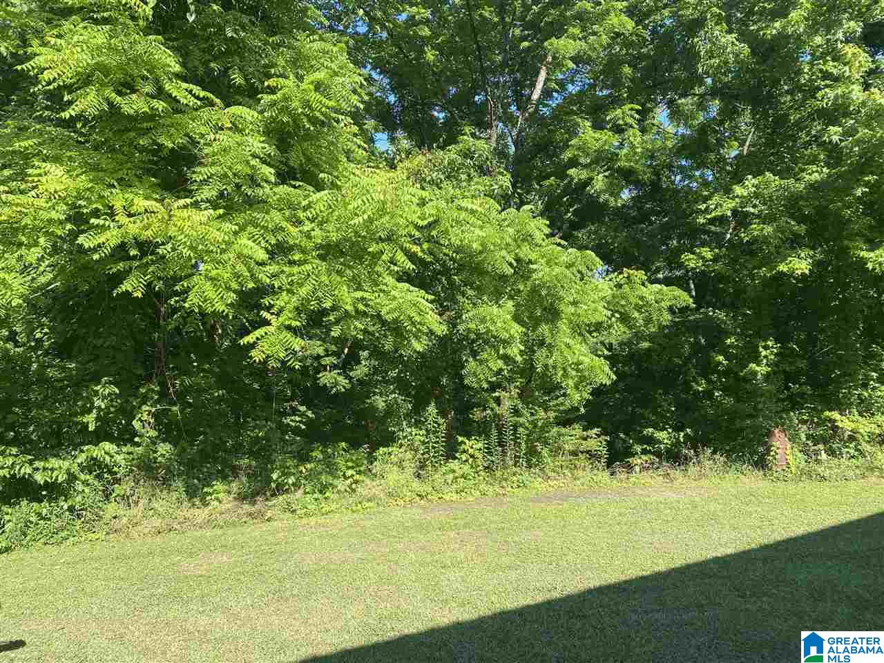 7582 County Road 19 Heflin, AL 36264 - Photo 28 of 30