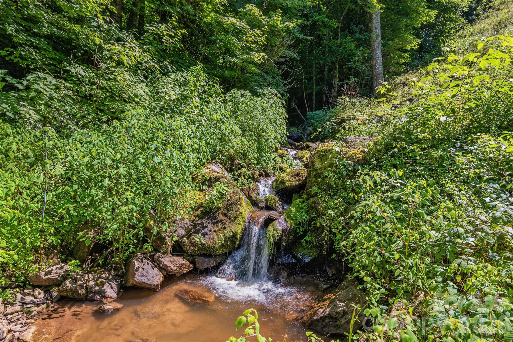 1482 Howard Moore Road Hot Springs, NC 28743 - Photo 39 of 47 Gallery Image 39