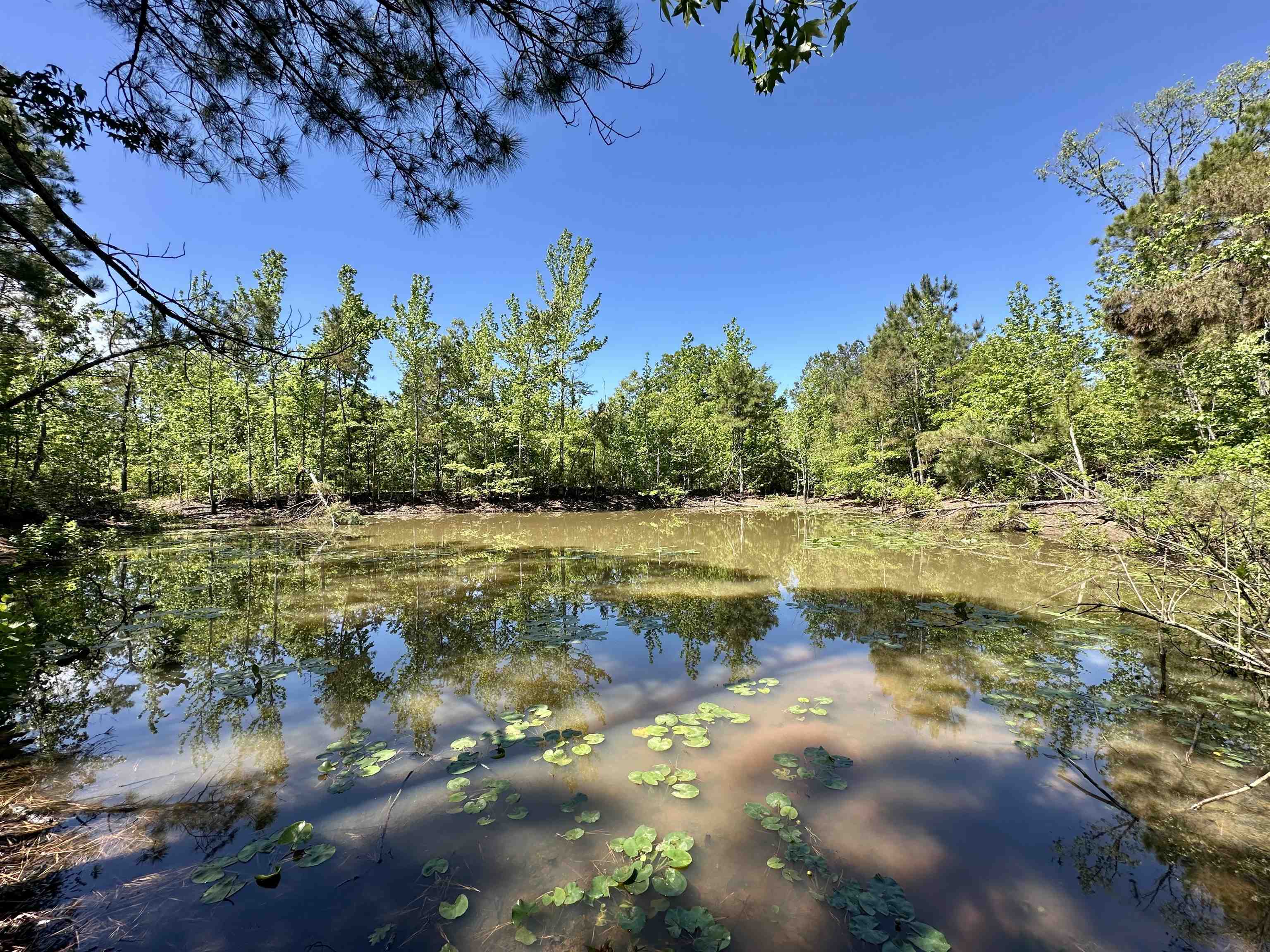 1137 Arl Bailey Road Finger, TN 38334 - Photo 36 of 40 a view of a lake with outdoor space