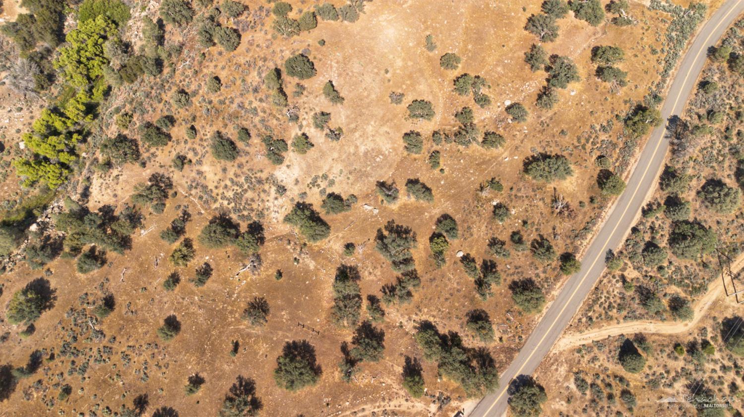 16037 Walker Basin Road Caliente, CA 93518 - Photo 7 of 15 Gallery Image 7