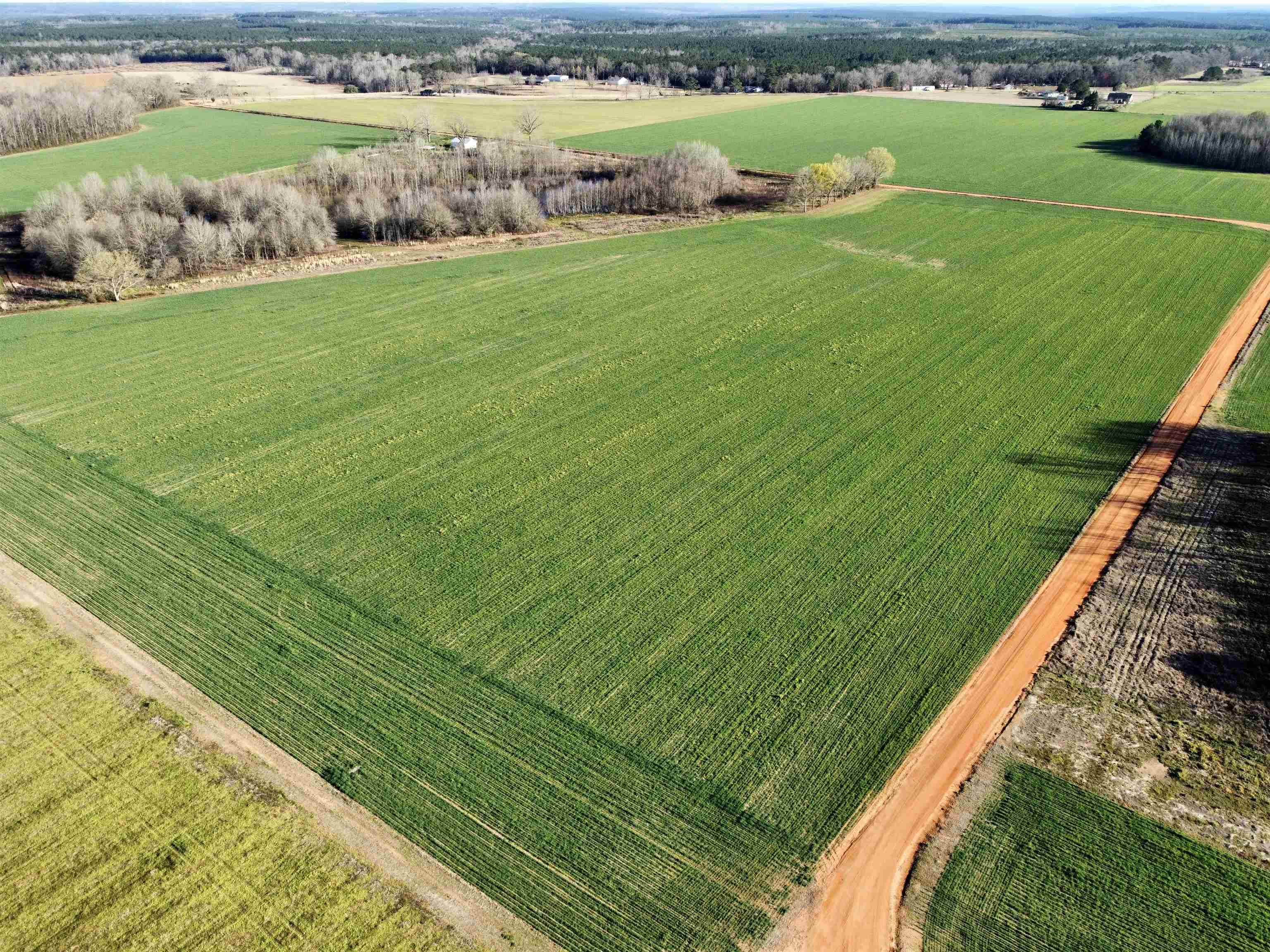 0 Country Road Atmore, AL 36502 - Photo 3 of 27