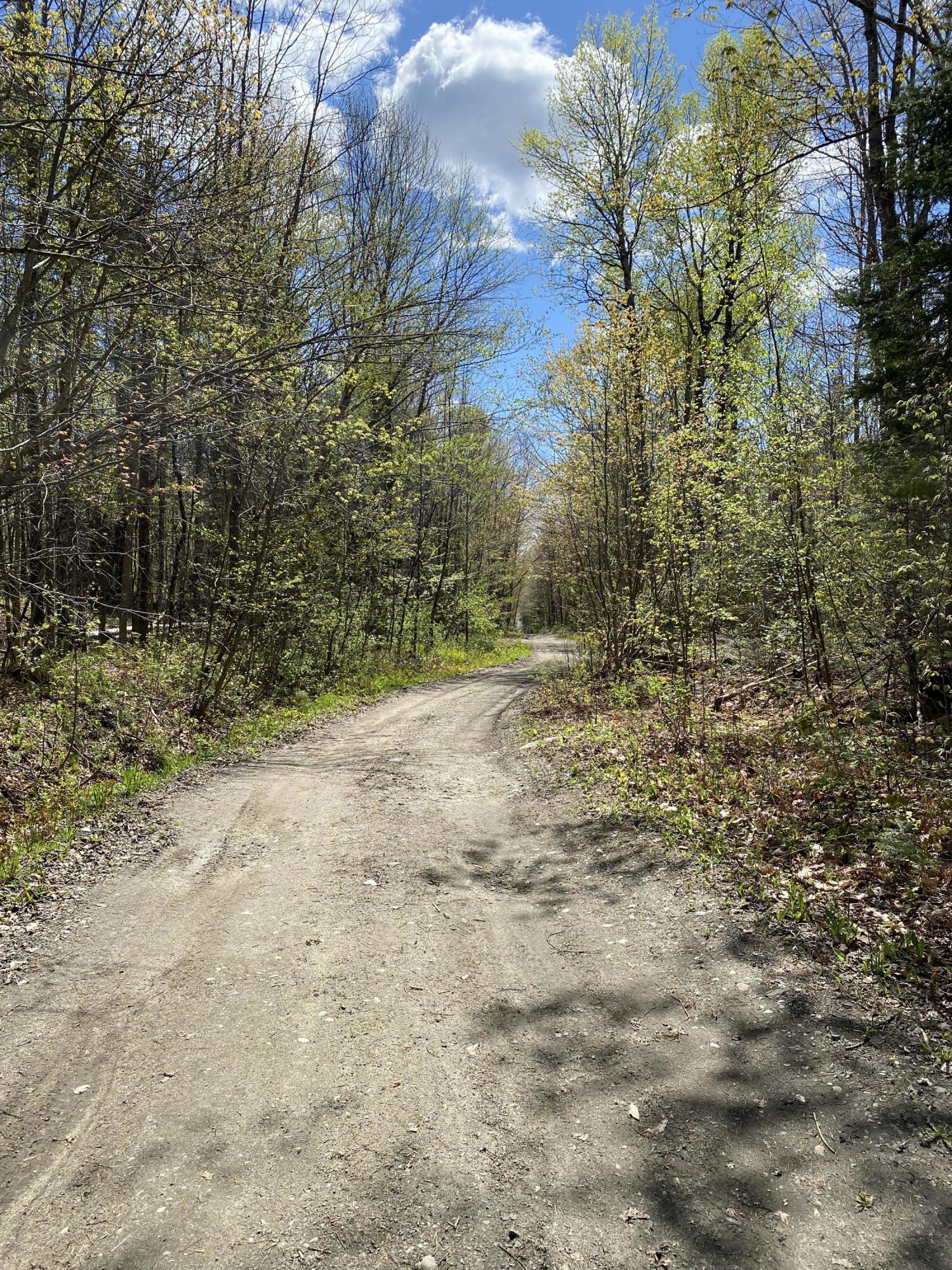 85 Cemetery Road New Sharon, ME 04955 - Photo 6 of 9 IMG_2878