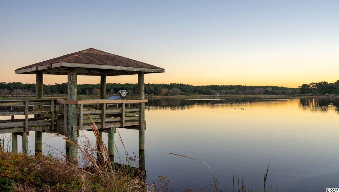 249 Star Lake Drive Murrells Inlet, SC 29576 - Photo 35 of 40 Gallery Image 35