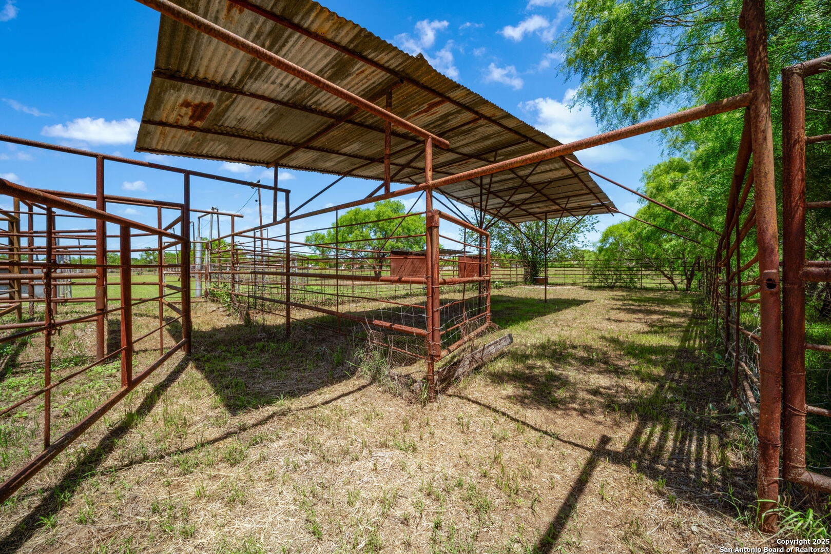 11224 Atkins Road Atascosa, TX 78002 - Photo 18 of 30