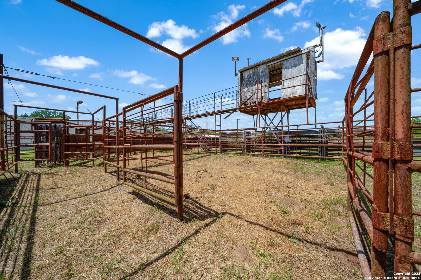 11224 Atkins Road Atascosa, TX 78002 - Photo 32 of 45