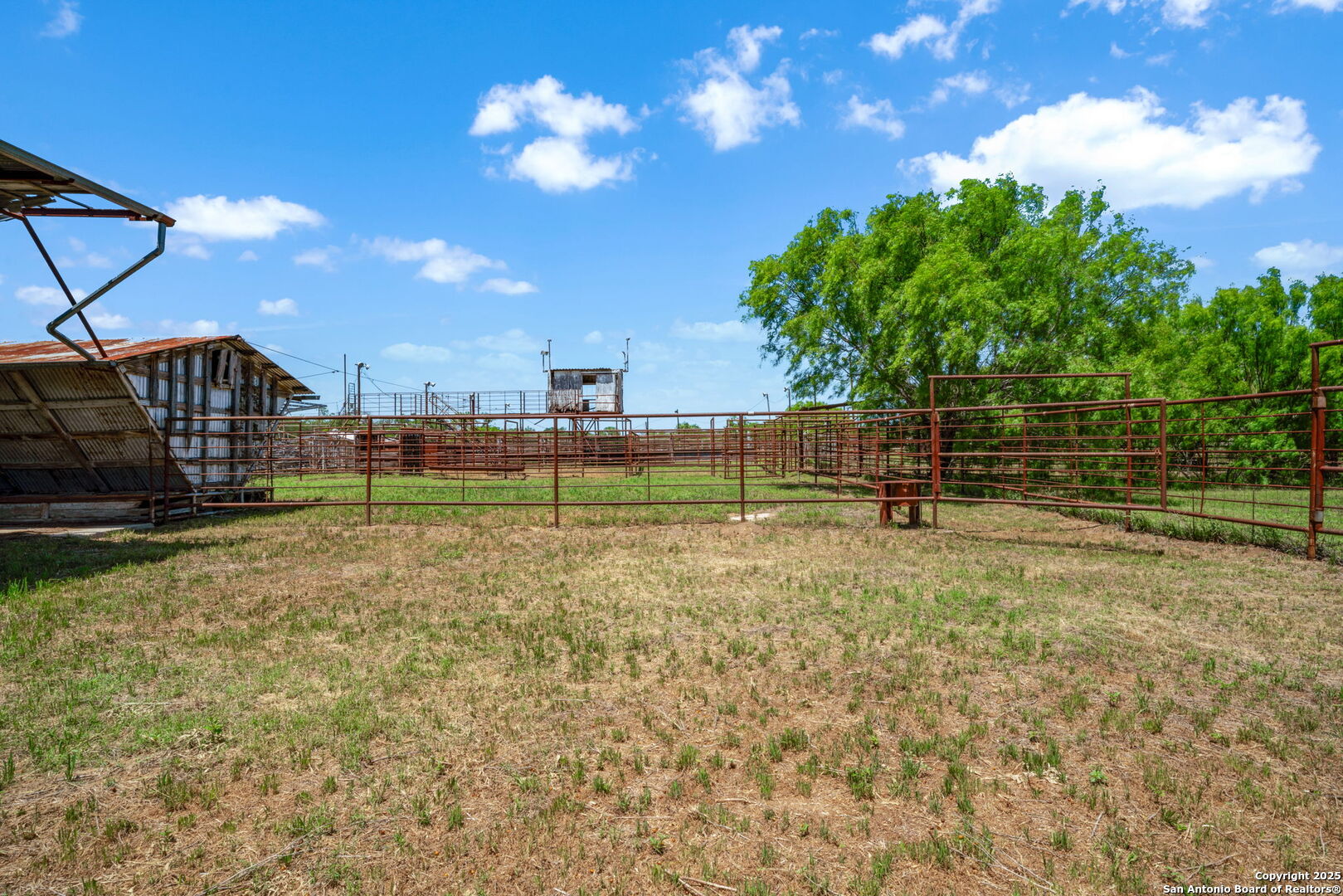 11224 Atkins Road Atascosa, TX 78002 - Photo 35 of 45 a view of a yard