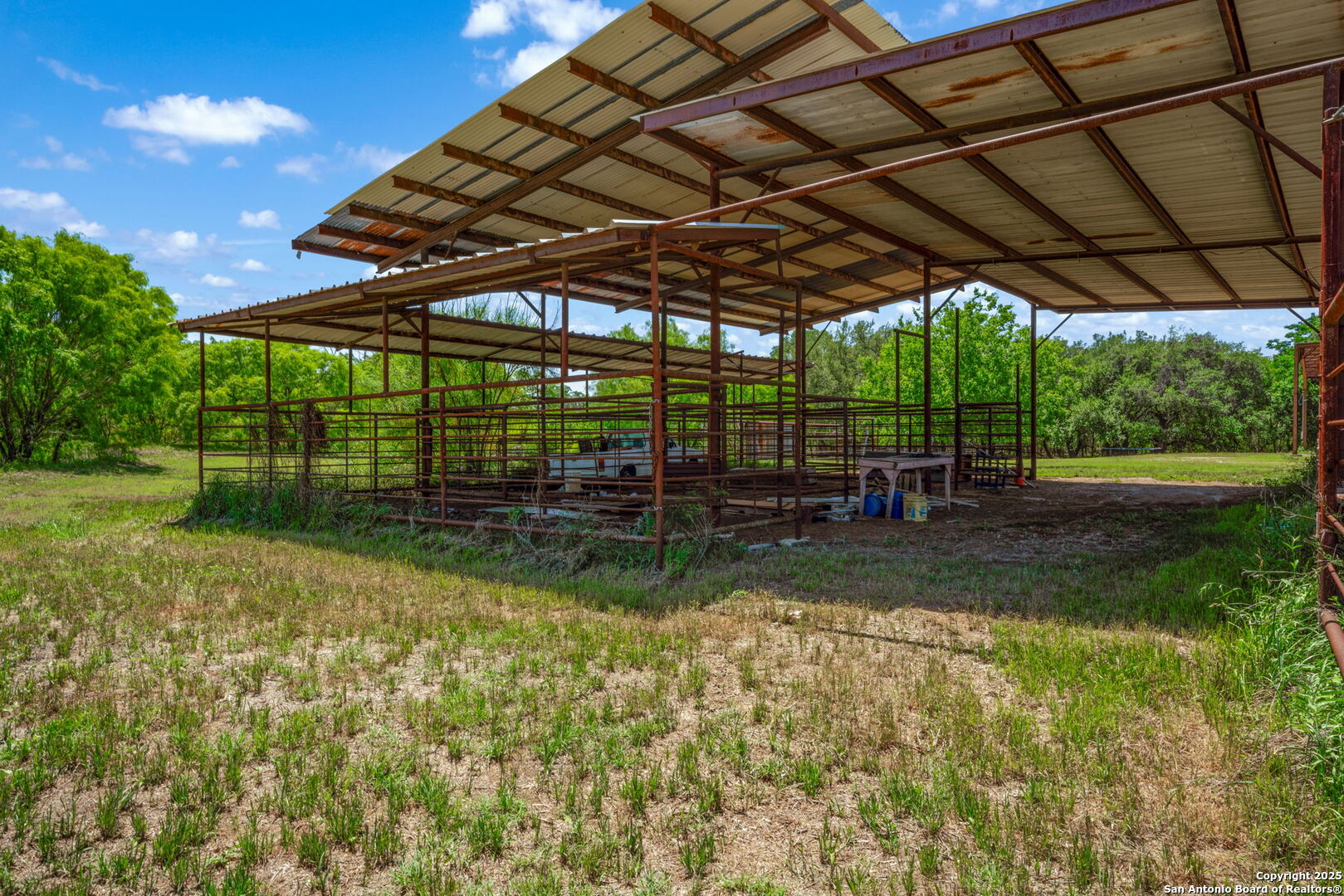 11224 Atkins Road Atascosa, TX 78002 - Photo 38 of 45 a view of backyard with green space
