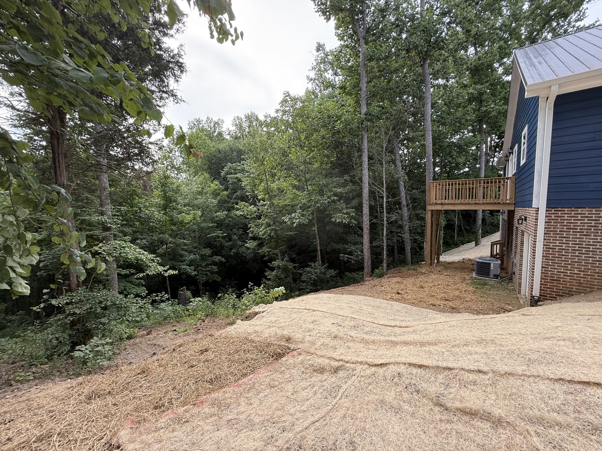 993 Throneberry Road Normandy, TN 37360 - Photo 9 of 56 a backyard of a house with lots of green space