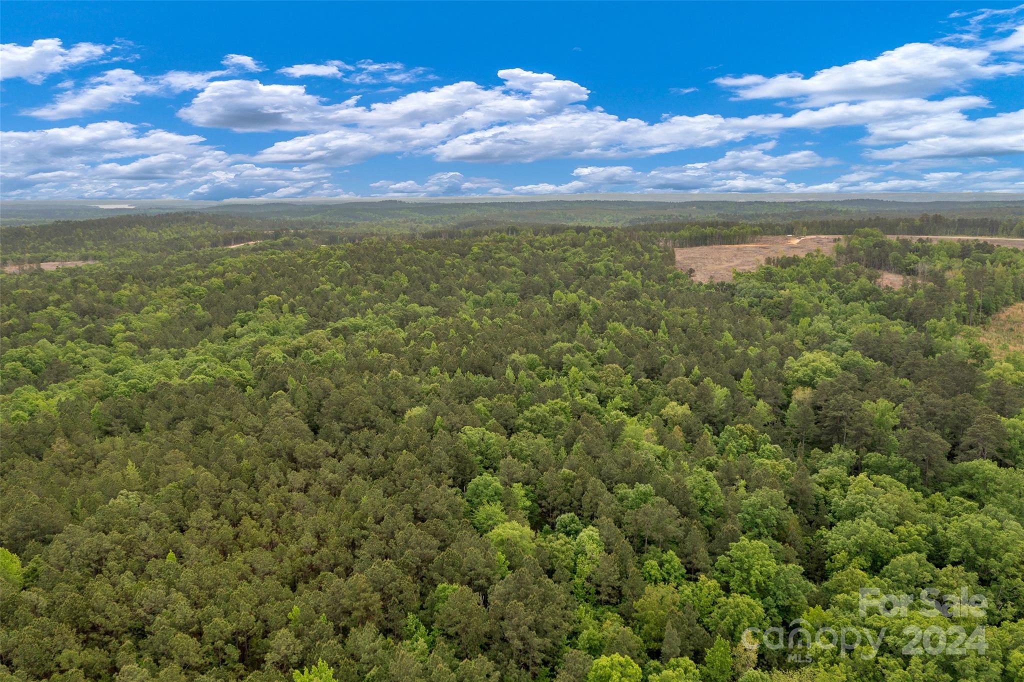 0 River Road, Unit 2 Winnsboro, SC 29180 - Photo 9 of 41 Gallery Image 9