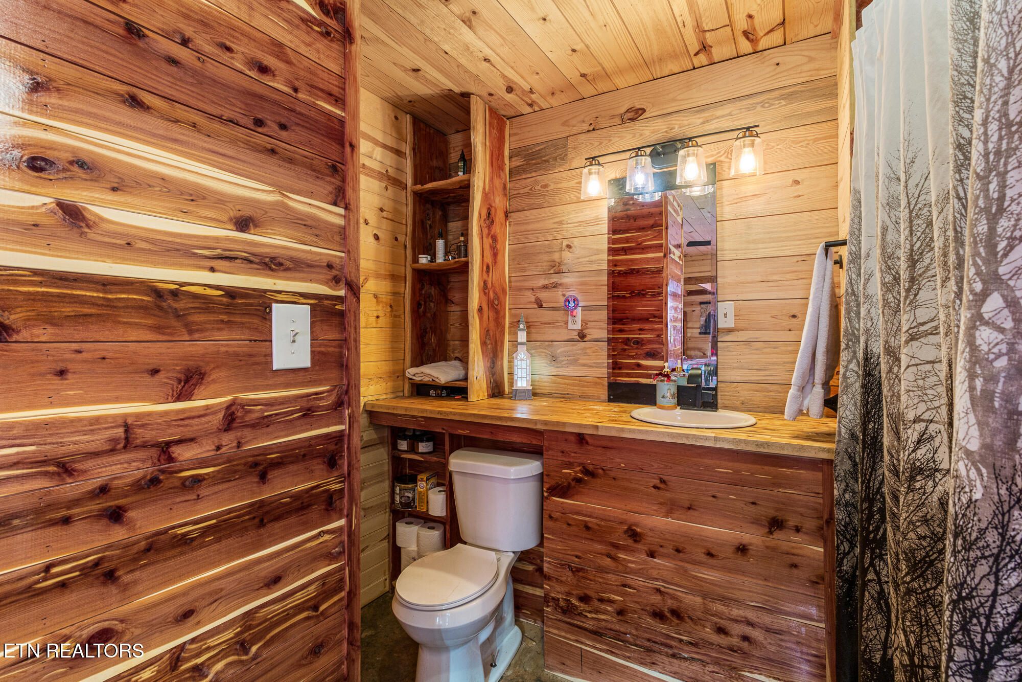 365 County Road 38 Riceville, TN 37370 - Photo 12 of 30 365