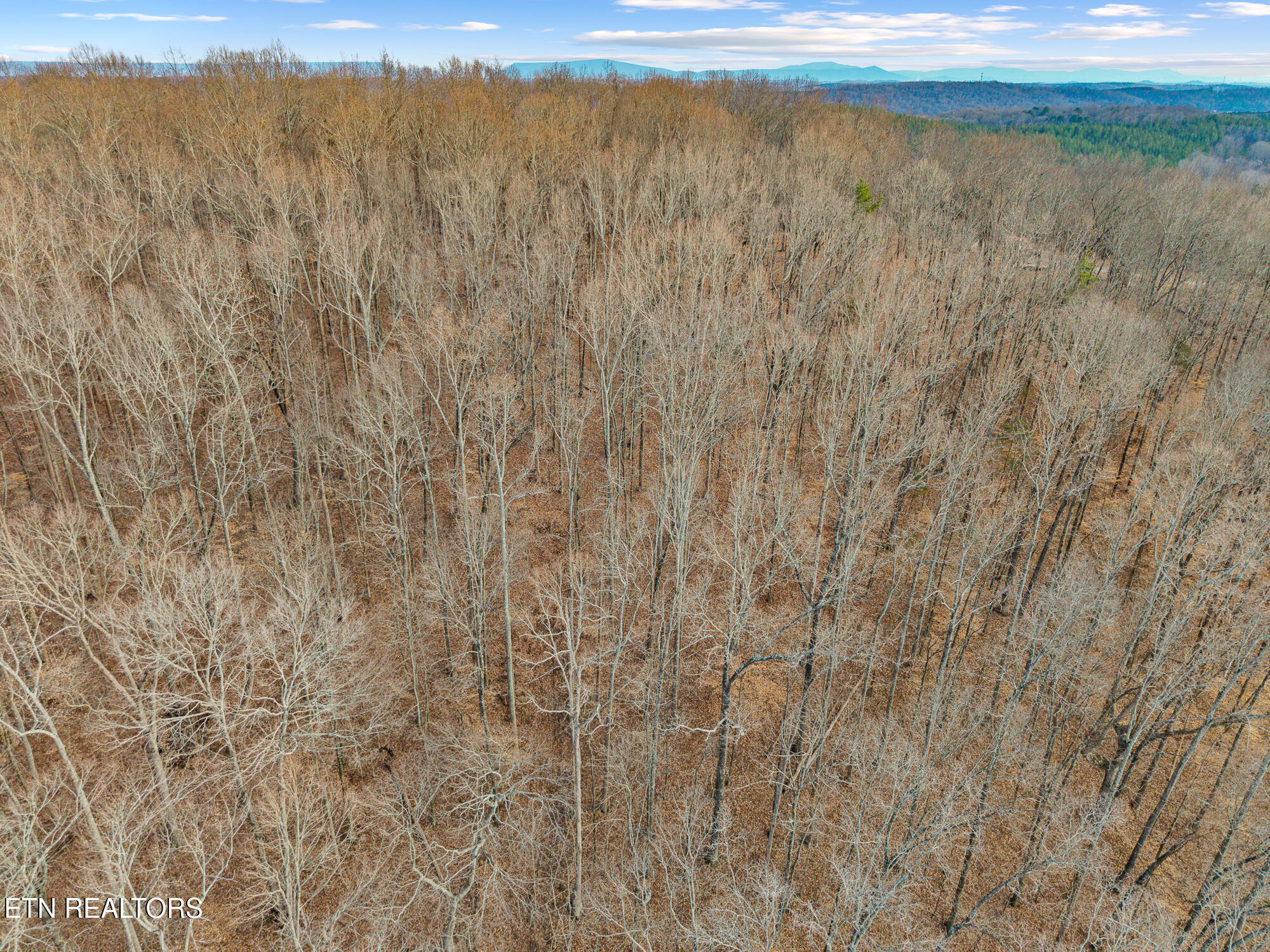 365 County Road 38 Riceville, TN 37370 - Photo 22 of 33 365