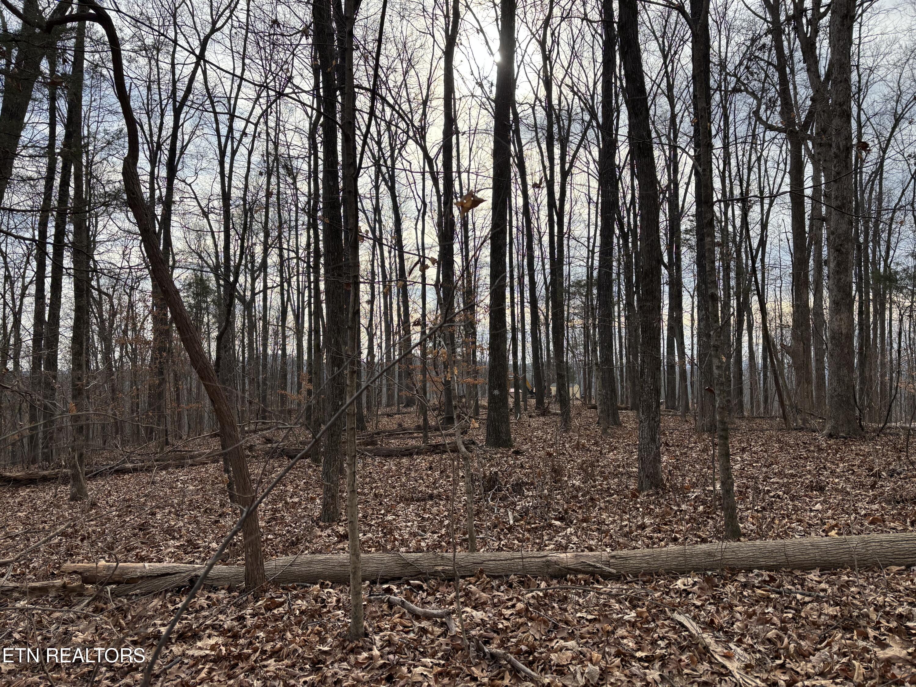 365 County Road 38 Riceville, TN 37370 - Photo 29 of 30 IMG_7488