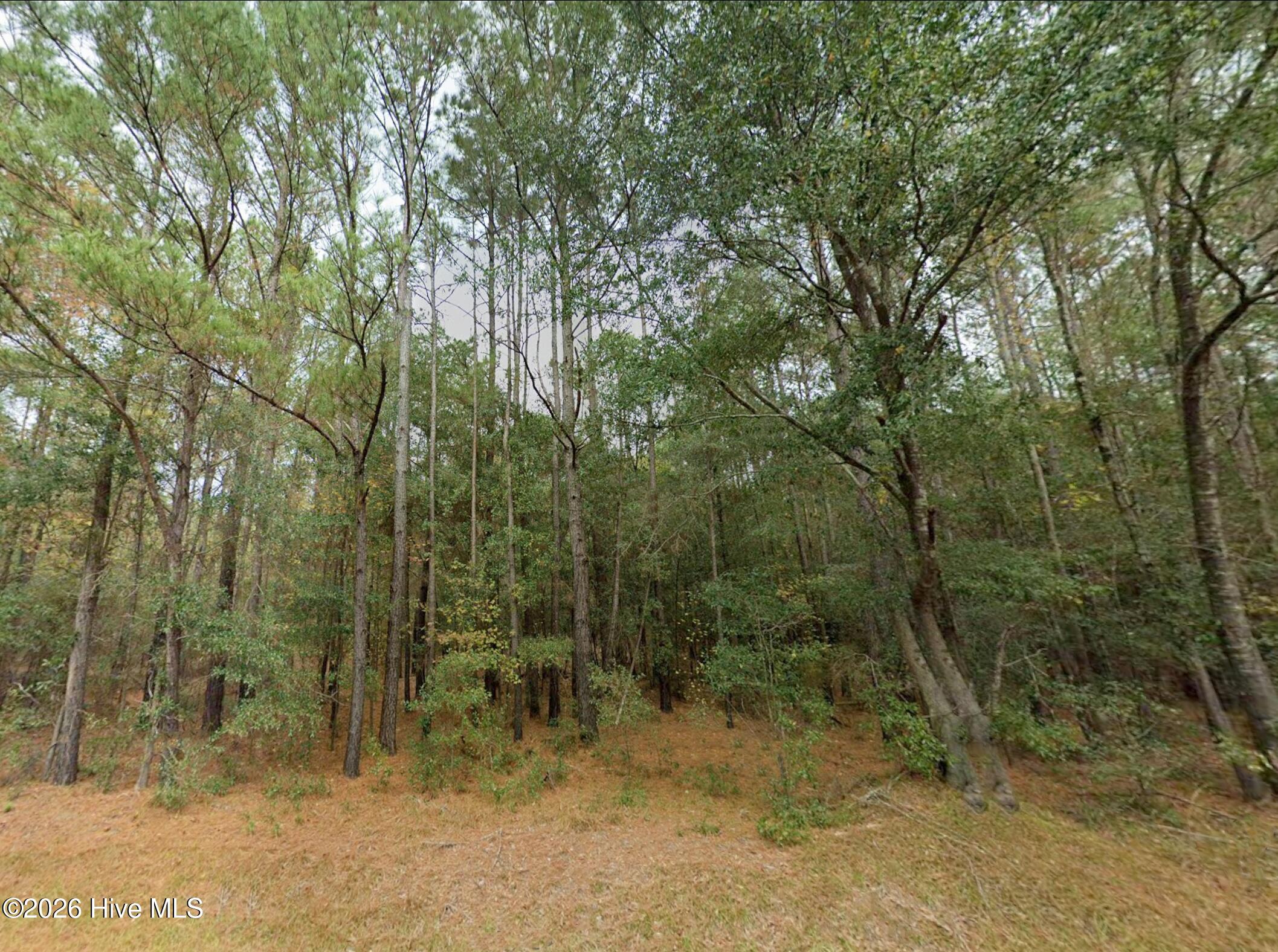 0 Shiloh Road Willard, NC 28478 - Photo 1 of 13 photo1_2474