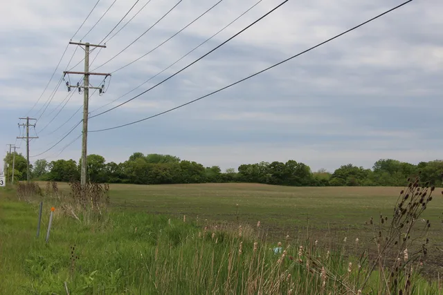 a view of a yard with a tree