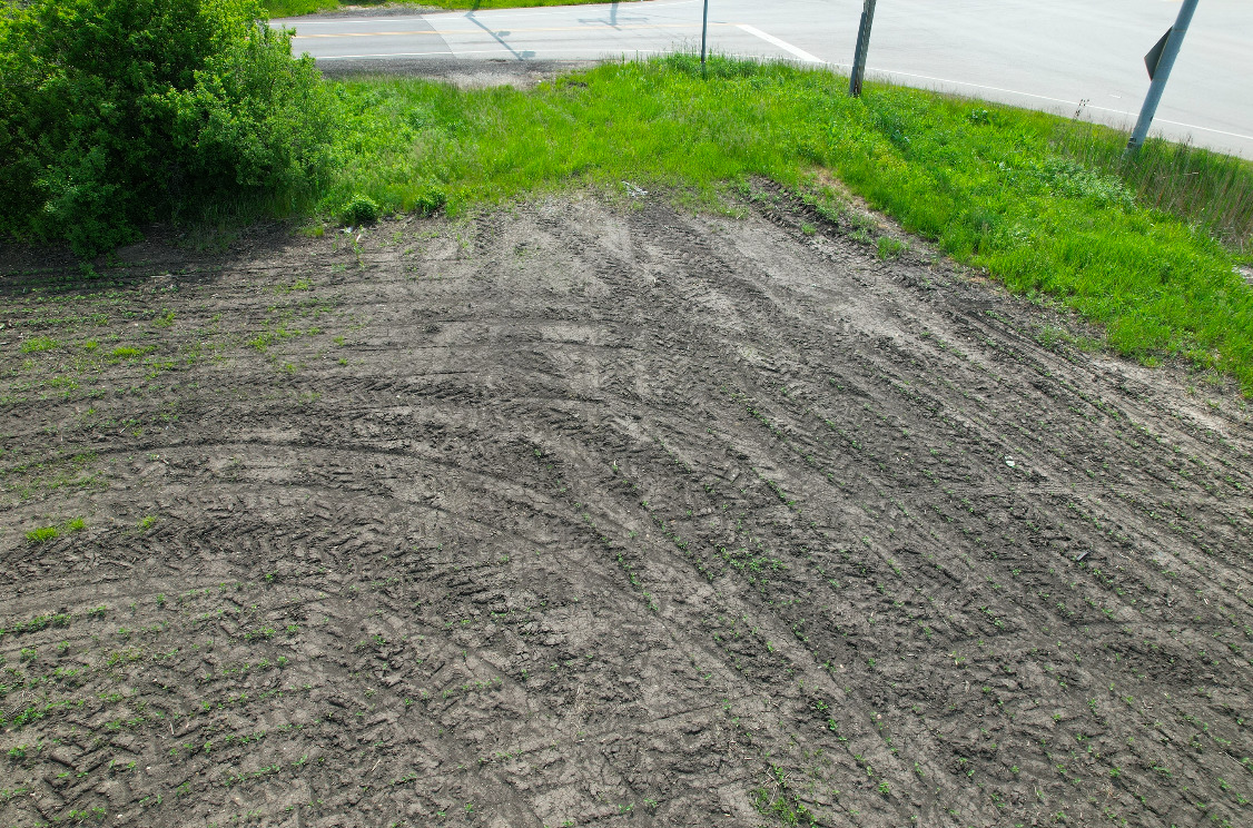 41616 North Delany Road Wadsworth, IL 60099 - Photo 25 of 37 a view of a yard with a tree